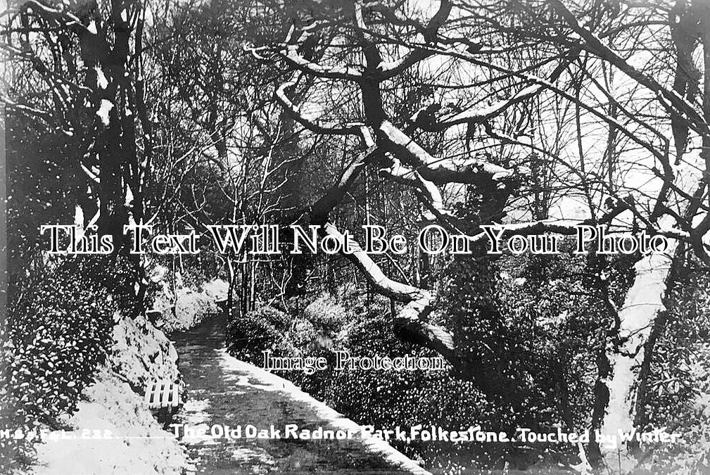 KE 5410 - The Old Oak, Radnor Park, Folkestone, Kent