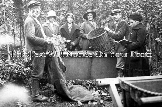 KE 5437 - Hop Picking, Kent c1907
