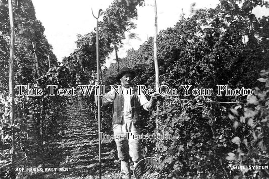 KE 5478 - Hop Picking, East Kent