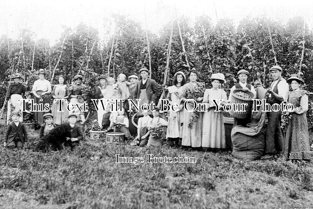 KE 5537 - Hop Pickers, Kent c1908