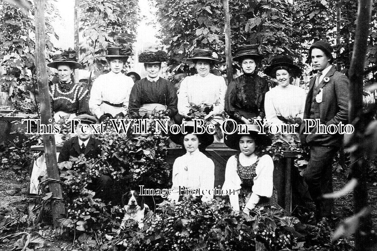 KE 5569 - Hop Pickers, Kent c1907
