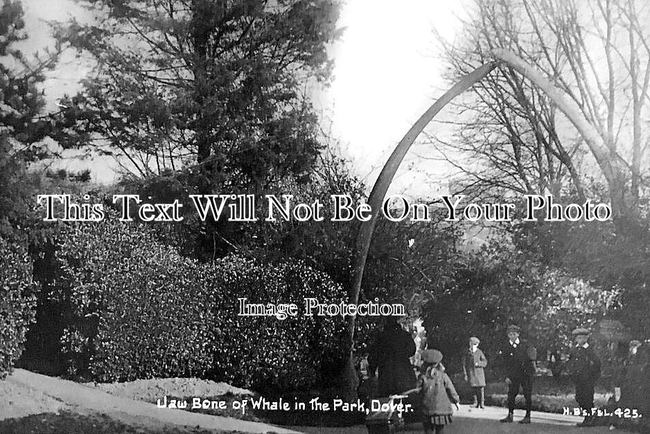 KE 5839 - Whale Jaw Bone, Dover Park, Kent