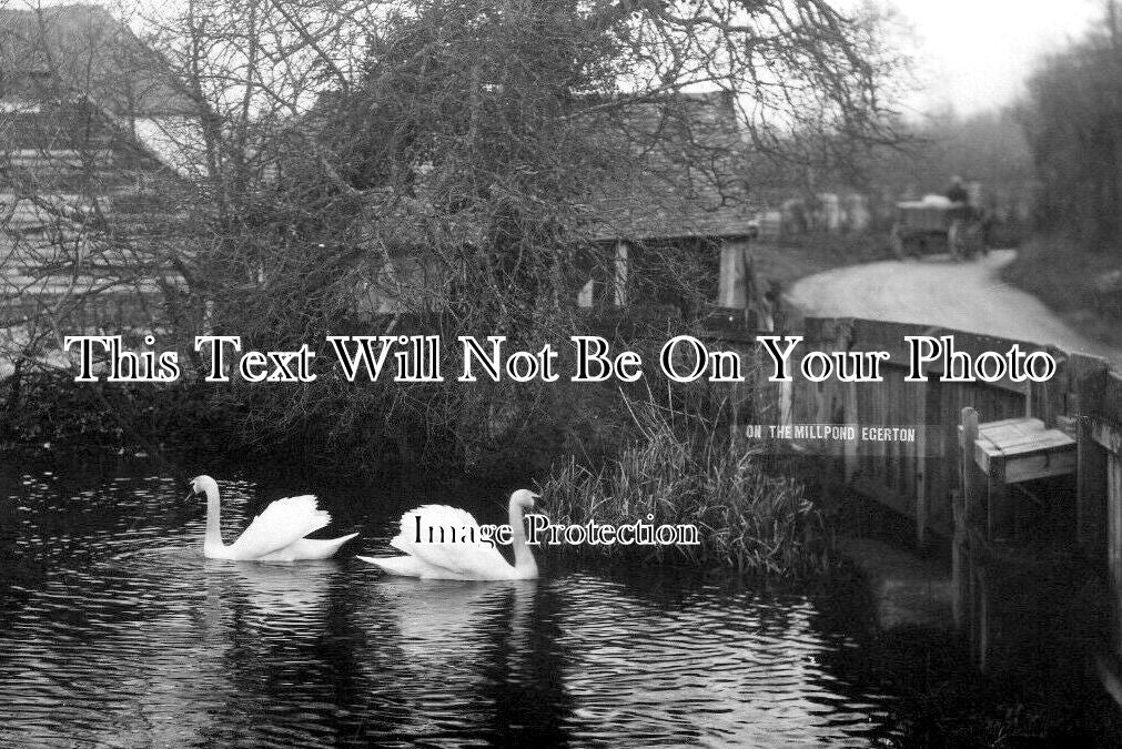 KE 5917 - On The Millpond, Egerton, Kent