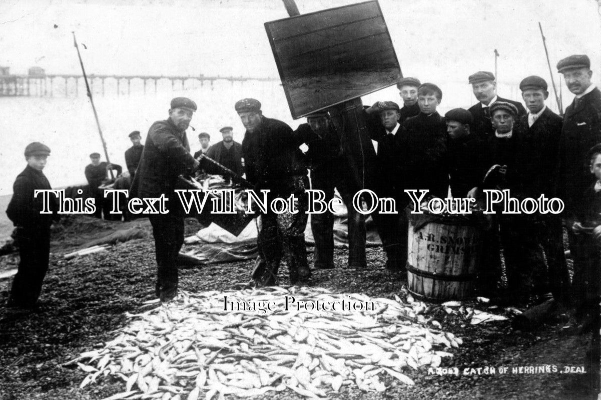 KE 667 - Good Catch Of Herrings, Deal, Kent
