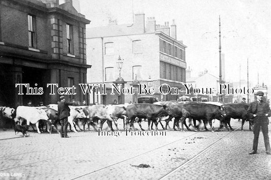 LA 1120 - Cross Street Cattle Market, Salford, Manchester, Lancashire c1905