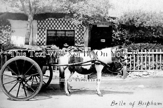 LA 1746 - The Belle Of Bispham, The One Ash Cottage, Blackpool, Lancashire