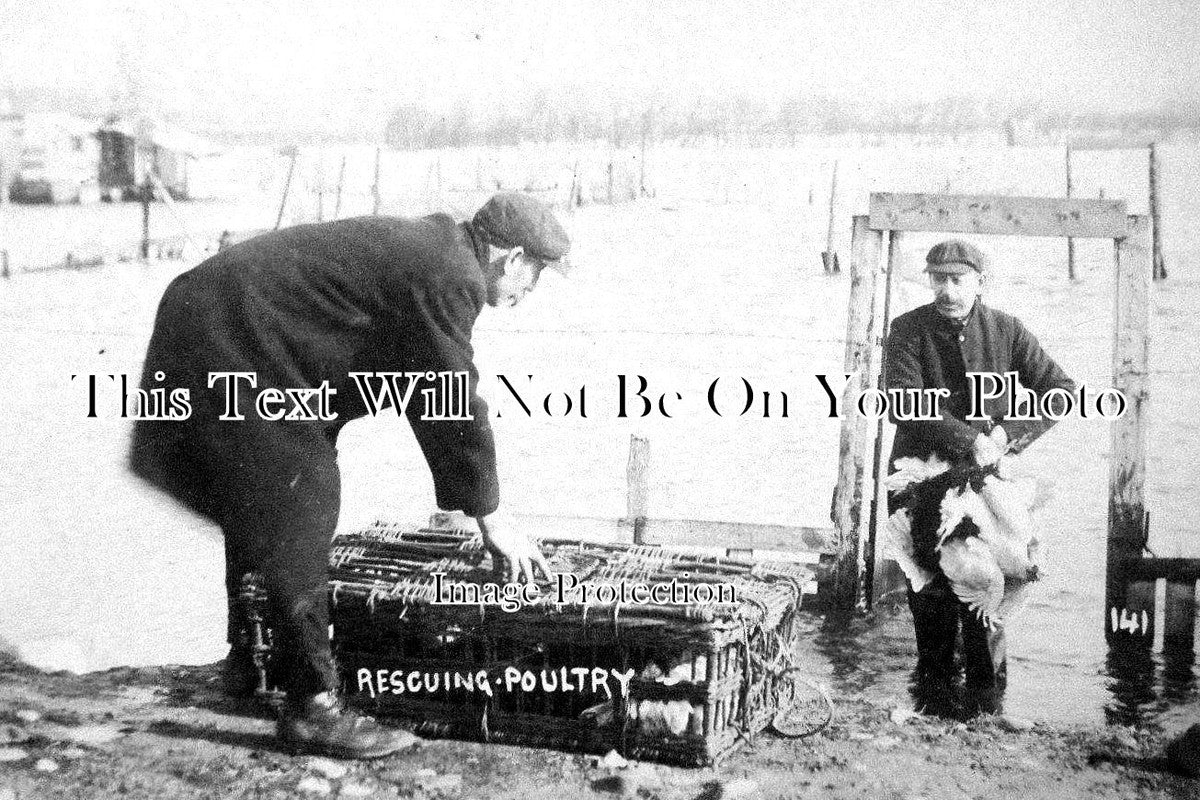 LA 2093 - Rescuing Poultry During A Storm, Morecambe, Lancashire c1907