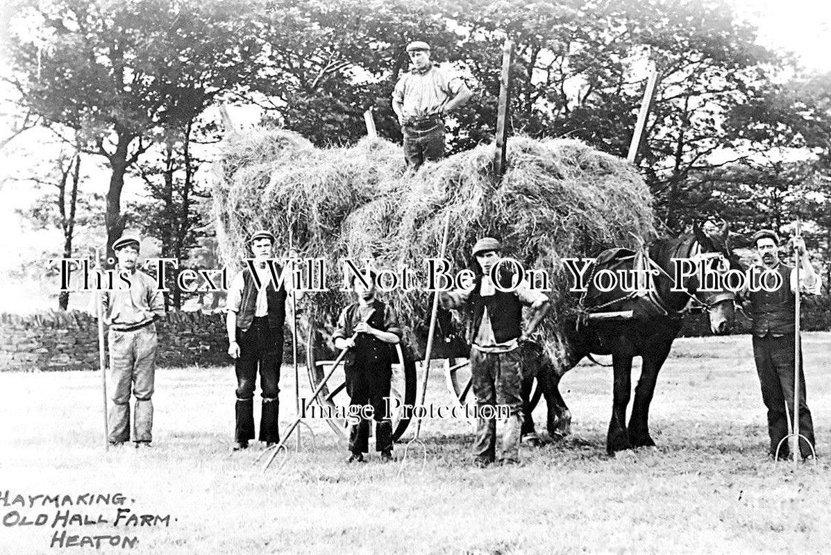 LA 2952 - Haymaking At Old Hall Farm, Heaton, Bolton, Lancashire 1906