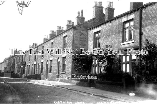 LA 3356 - Ostrich Lane, Heaton Park, Manchester, Lancashire