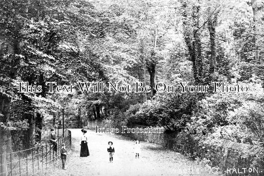 LA 4010 - Woods At Halton, Lancashire c1904