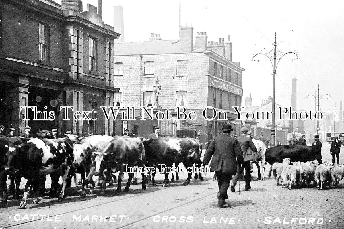 LA 5414 - Cattle Market, Cross Lane, Salford, Manchester, Lancashire