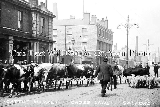 LA 5414 - Cattle Market, Cross Lane, Salford, Manchester, Lancashire