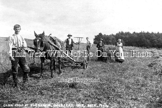 LA 5466 - Harvesting Corn Crop, Swinshea, Dalehead, Slaidburn
