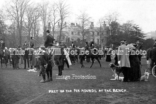 LA 6019 - Fox Hounds Hunt Meet, Boltons Bench, Lymdhurst, Hampshire