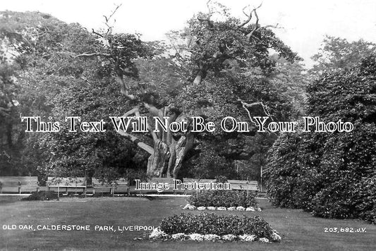 LA 6640 - Old Oak, Calderstone Park, Liverpool, Lancashire