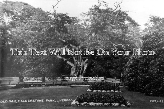 LA 7161 - Old Oak, Calderstone Park, Liverpool, Lancashire