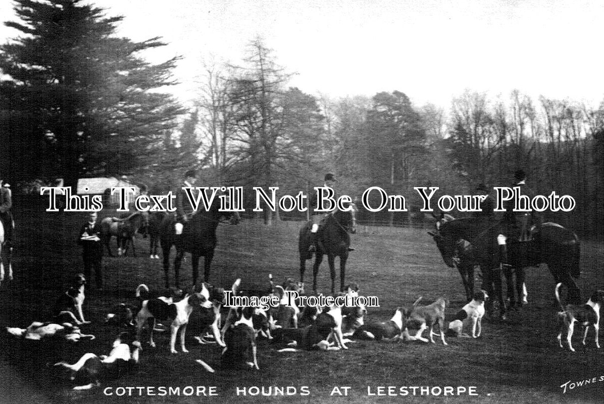 LC 1260 - Cottesmore Hounds At Leesthorpe, Leicestershire