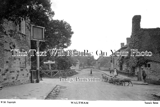 LC 1333 - Waltham On The Wolds, Leicestershire