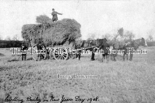 LC 145 - Carting Barley On New Years Day, Melton Mowbray, Leicestershire 1908
