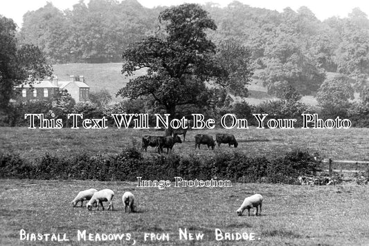 LC 88 - Birstall Meadows From New Bridge, Leicestershire