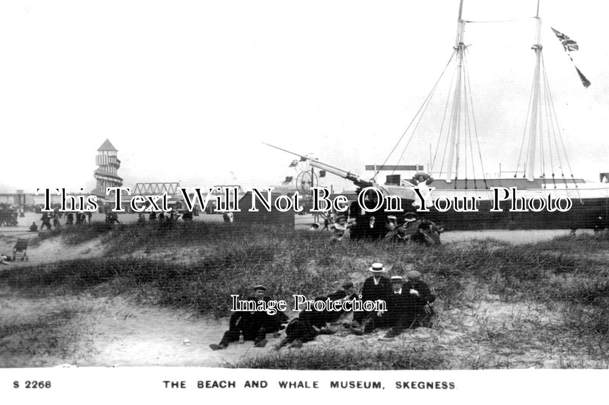 LI 1137 - The Beach & Whale Museum, Skegness, Lincolnshire
