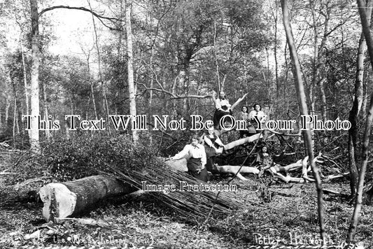LI 1256 - In The Woods, Potter Hanworth, Lincolnshire