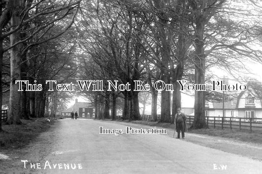 LI 1887 - The Avenue, Burton Stather, Lincolnshire
