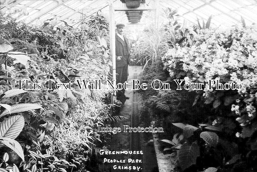 LI 1986 - Greenhouses, Peoples Park, Grimsby, Lincolnshire c1907