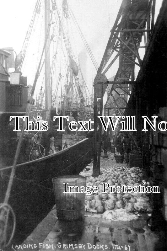 LI 2097 - Landing Fish At Grimsby Docks, Lincolnshire