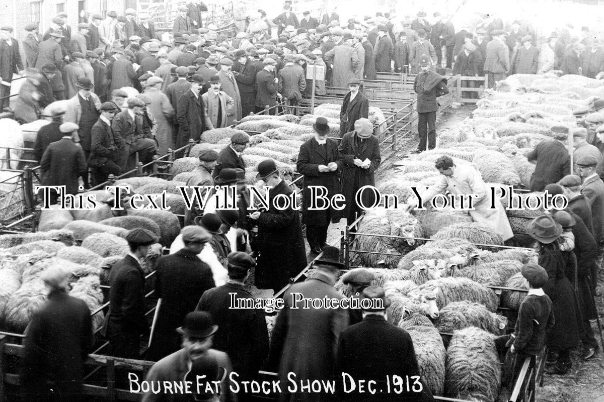 LI 2131 - Bourne Fat Stock Show, Lincolnshire 1913