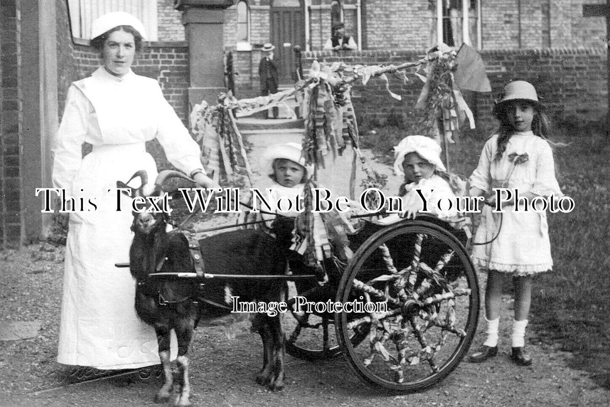 LI 2282 - Goat Cart, Spalding Feast Day, Lincolnshire
