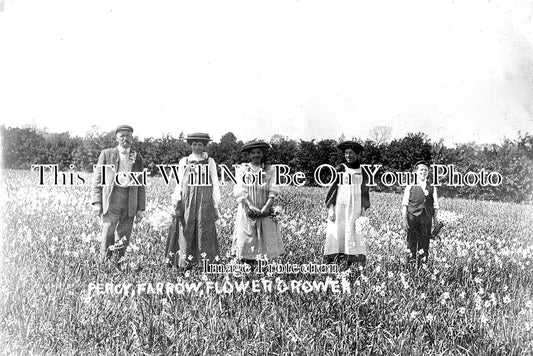 LI 2357 - Percy Farrow Flower Grower, Holbeach Drove, Lincolnshire c1911