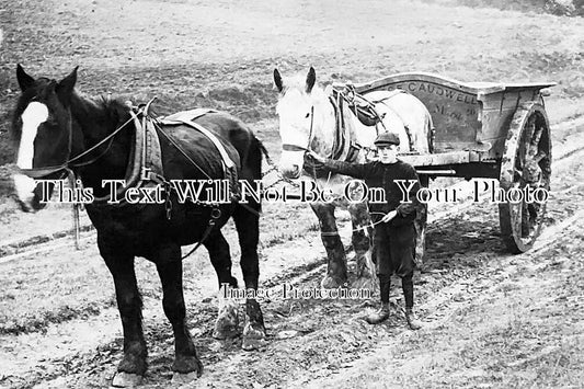 LI 2473 - Horse & Cart, Holbeach Marsh, Lincolnshire