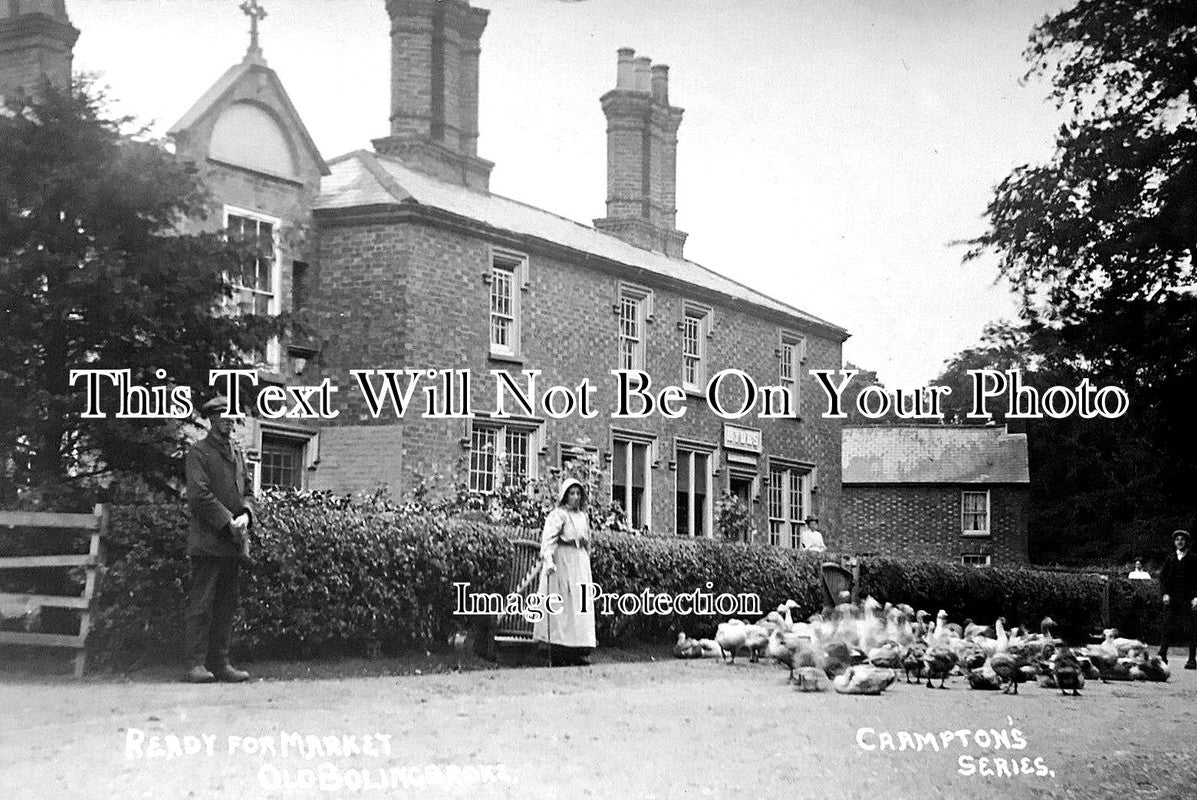 LI 2789 - Geese For Market, Old Bolingbroke, Lincolnshire c1910