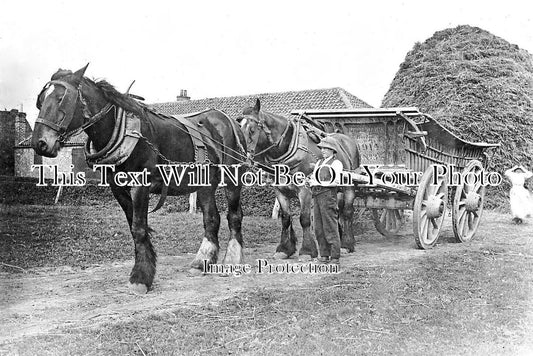 LI 3250 - Frank Saul Shire Horses, Wrangle Hall, Boston, Lincolnshire