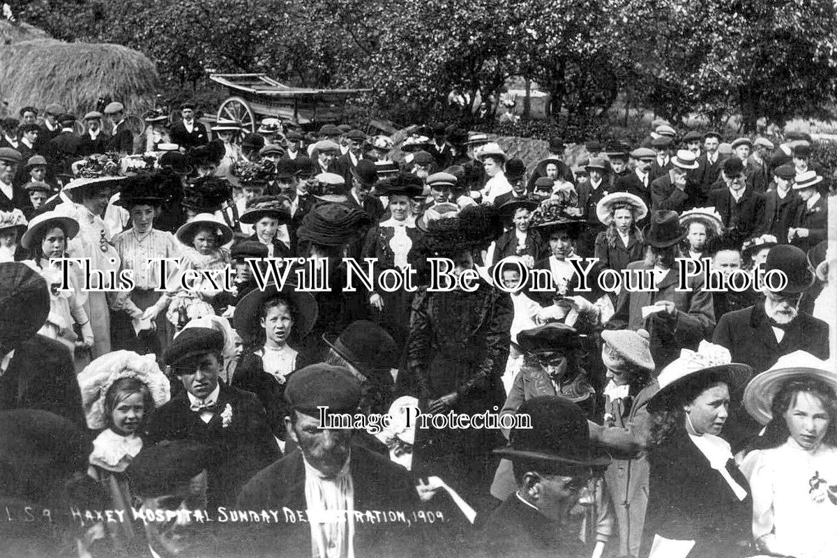LI 3285 - Haxey Hospital Sunday Demonstration, Lincolnshire 1909