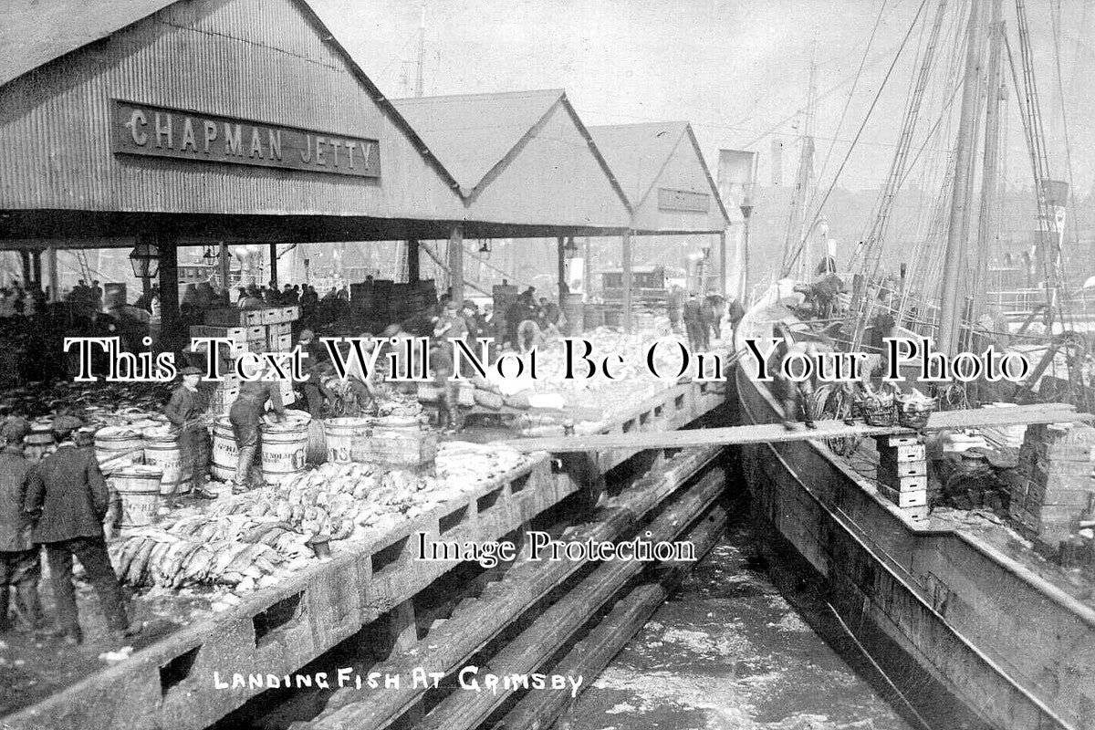 LI 3301 - Landing Fish At Grimsby, Lincolnshire c1907