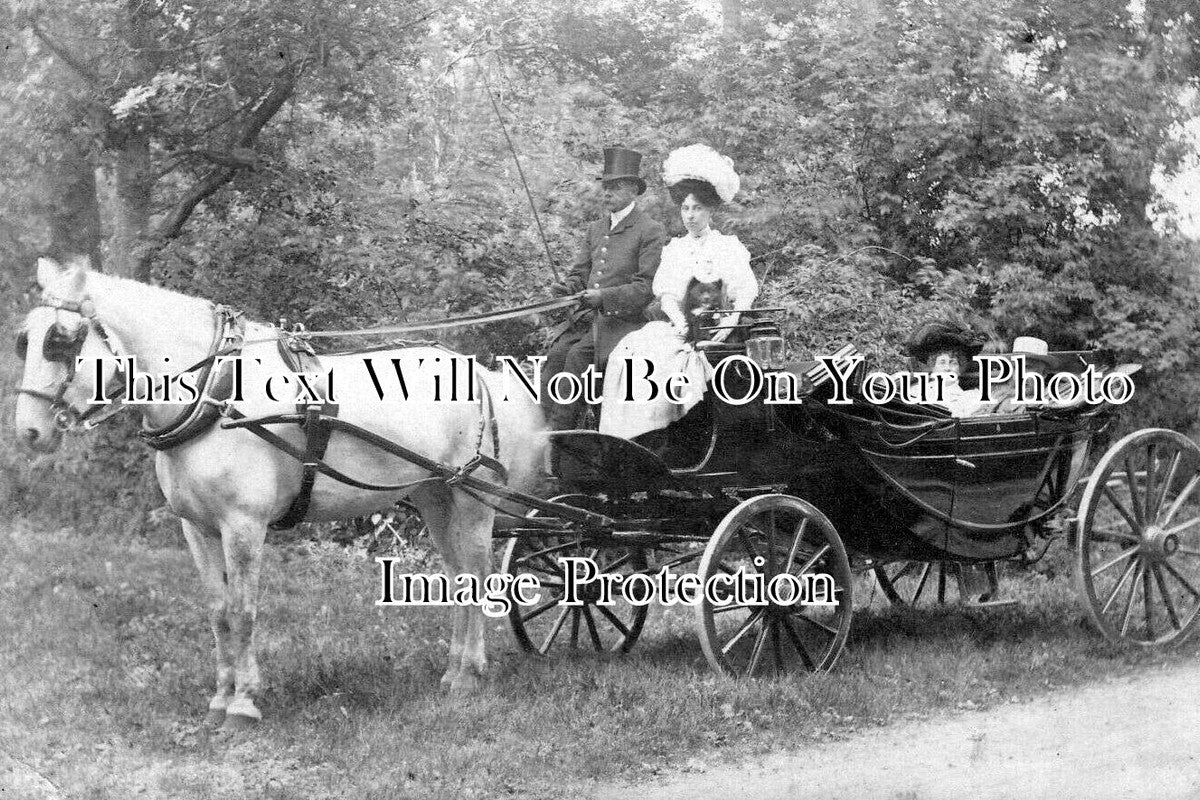 LI 3455 - Family Outing, Horse Drawn Carriage, Louth, Lincolnshire 1907