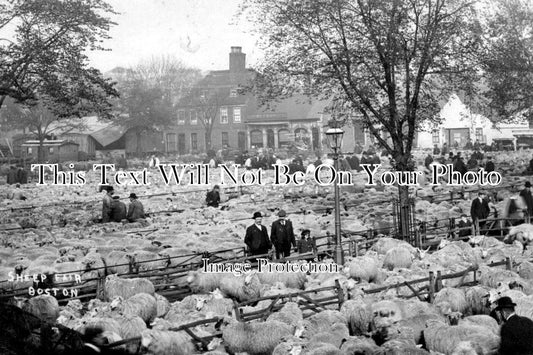 LI 640 - Sheep Fair, Boston, Lincolnshire