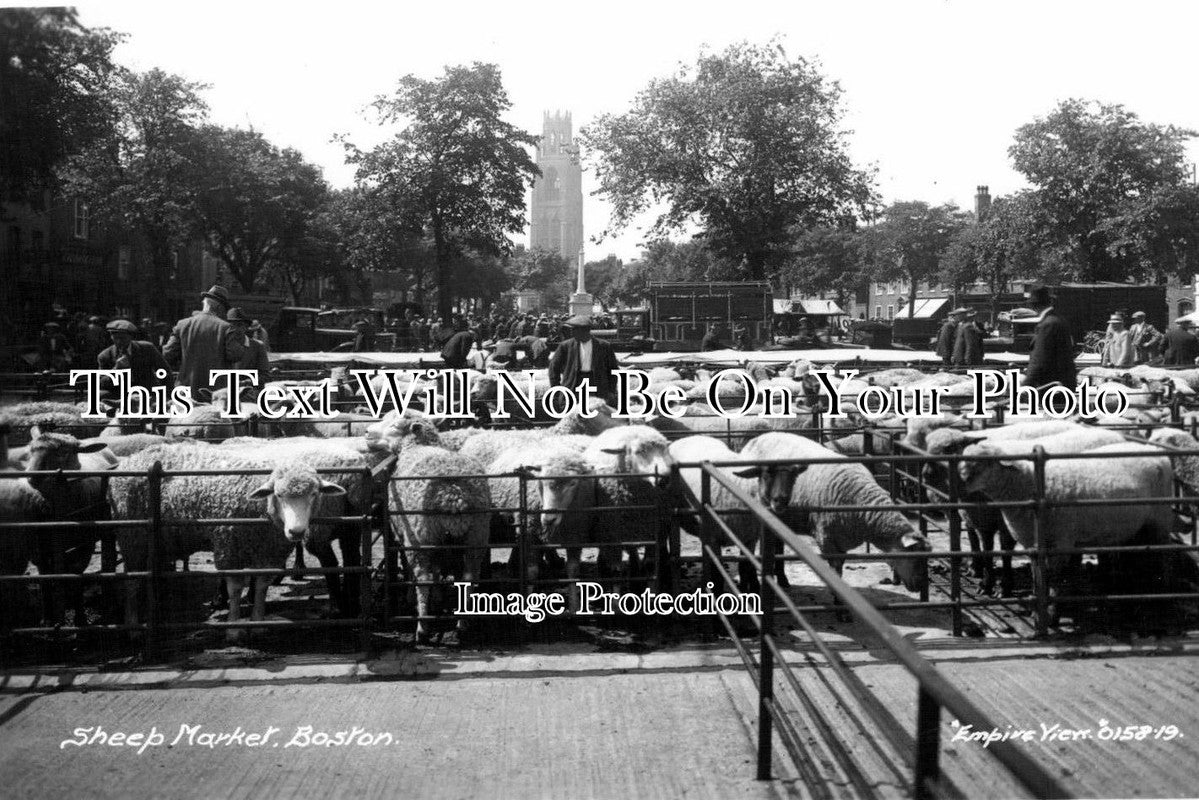 LI 66 - Boston Sheep Market, Lincolnshire