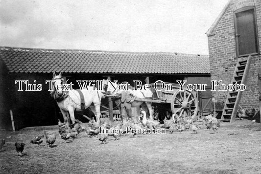 LI 697 - Farmyard, No Mans Friend Farm, Lincolnshire