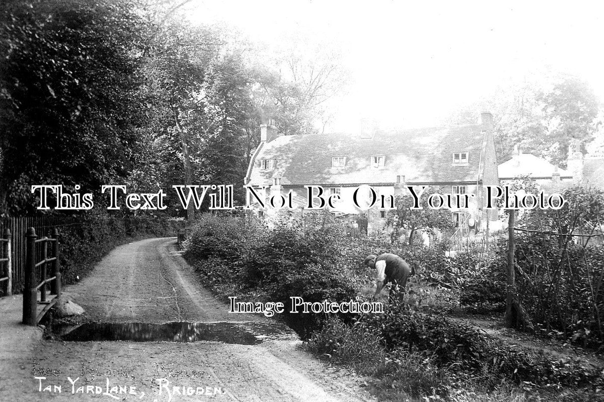 LO 1422 - Tan Yard Lane, Brigden, London c1911