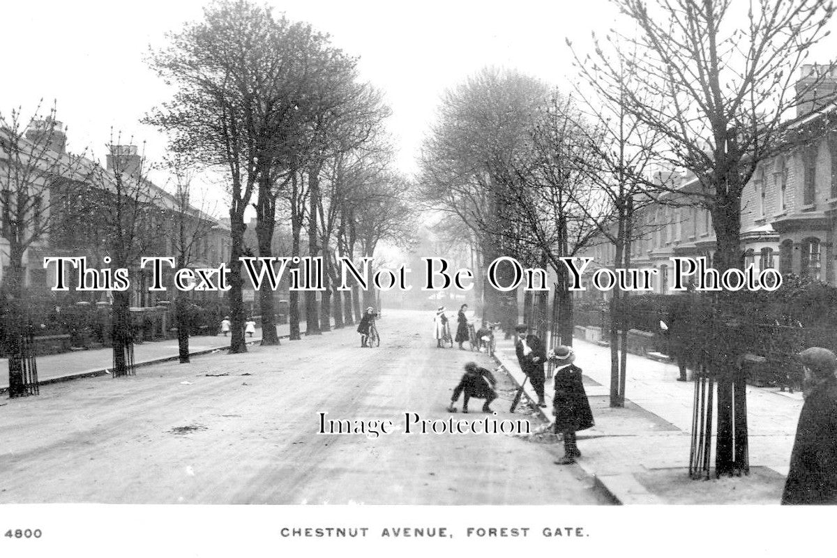 LO 2170 - Chestnut Avenue, Forest Gate, London