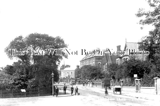LO 2370 - Lordship Lane, Court Lane, Dulwich, Southwark, London c1906