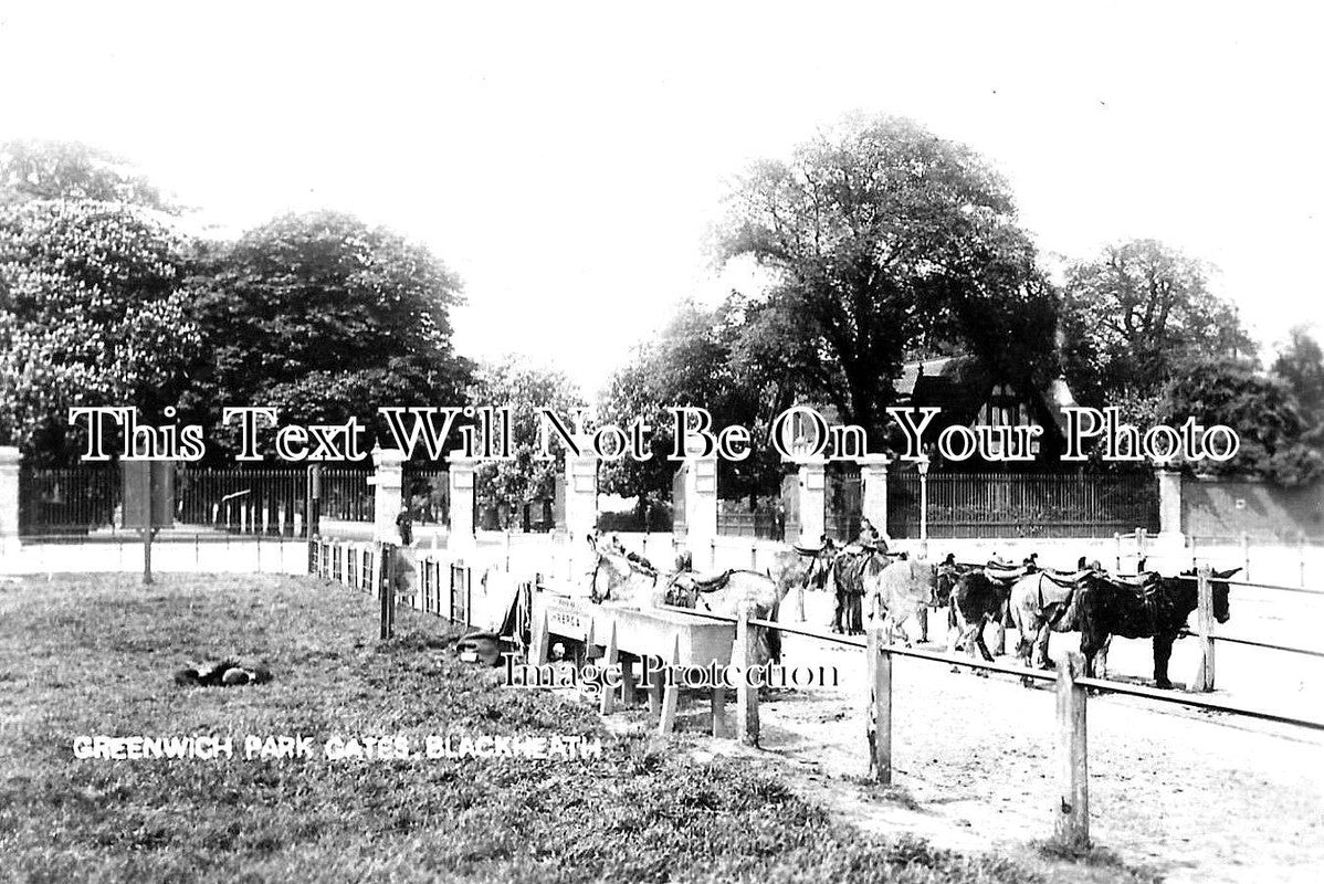 LO 2666 - Greenwich Park Gates, Blackheath, London c1905