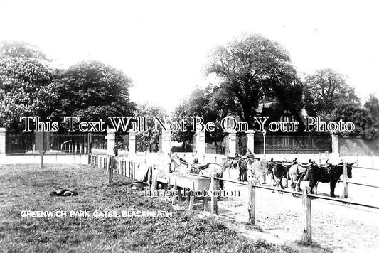 LO 2666 - Greenwich Park Gates, Blackheath, London c1905