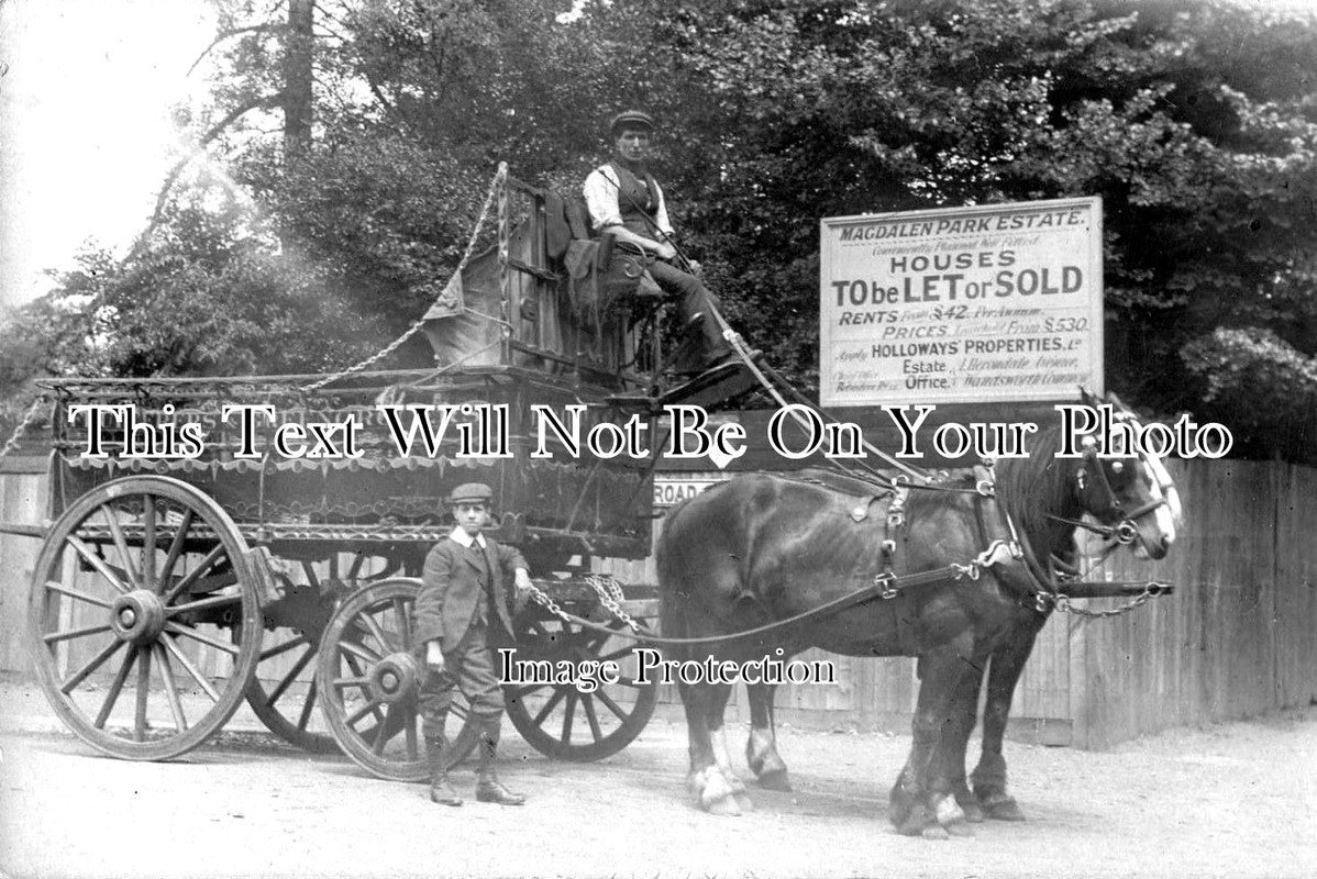 LO 2891 - E Bird & Sons Grocers Horse & Cart, Wandsworth, London c1912