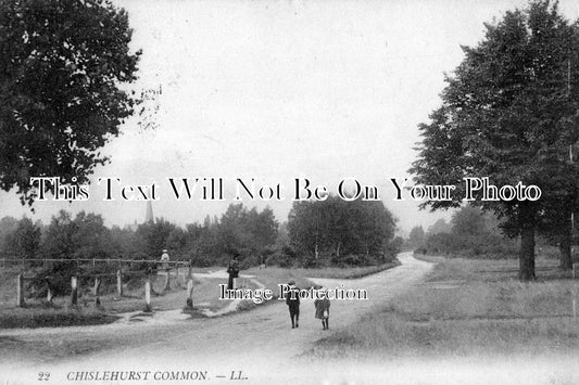 LO 316 - Chislehurst Common, Bromley, London c1910