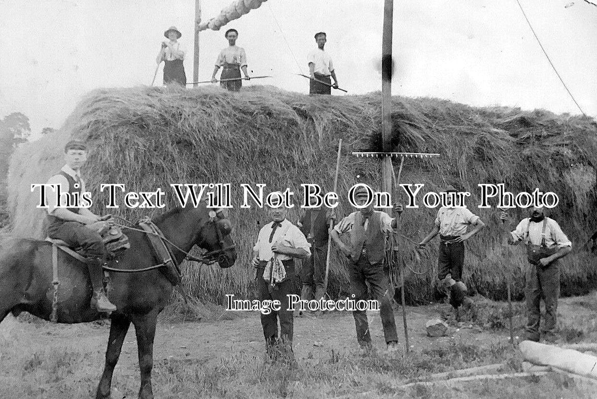 LO 3212 - Worcester Park Haystack, Surrey Farm Yard c1912