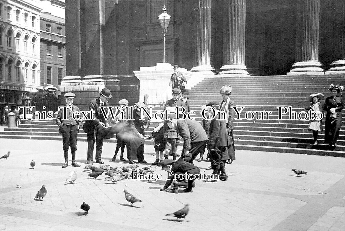 LO 3621-  London Life, Feeding Pigeons Outside St Pauls Cathedral